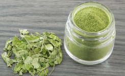 Le Moringa : L'Arbre qui Nourrit et Guérit