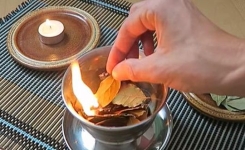 7 bénéfices qui se produisent quand vous brûlez une feuille de laurier à la maison