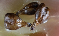 Les bienfaits des pépins de raisin : une arme naturelle contre le cancer et l'inflammation