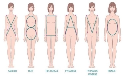 Découvrez quel est votre morphotype pour perdre du ventre rapidement