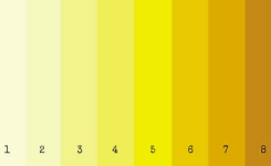 Les couleurs des urines et leurs significations