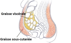 Cet étonnant jus élimine la graisse viscérale en seulement 7 jours !