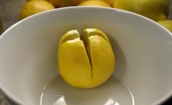 Couper quelques citrons et placer les dans votre chambre 