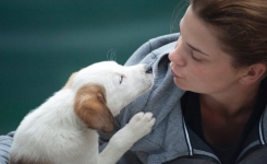 Voilà pourquoi il vaut mieux ne PAS tomber amoureux d'une femme qui aime les chiens