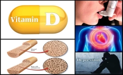 La Vitamine D : Un Élément Clé pour la Santé Quotidienne et la Prévention de Maladies Graves