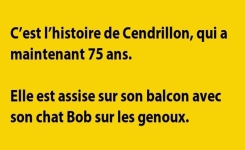 C'est l'histoire de Cendrillon, qui a maintenant ...