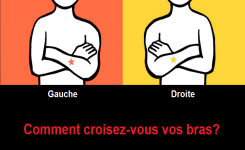 Croisez vos bras et découvrez ce que leur positionnement révèle sur votre pensée !