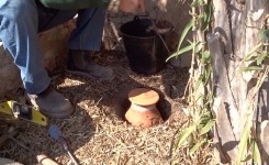 Comment Rendre Son Jardin Résistant à la Sécheresse 