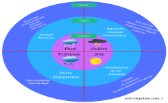 Outil : la roue des 4 émotions fondamentales