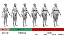 Votre poids idéal en fonction de votre taille