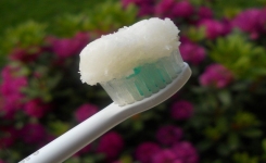 L'outil le plus puissant pour lutter contre les bactéries et d’autres substances nocives qui attaquent nos dents