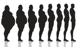 Perdre 20 kilos en 3 mois : le rôle clé de mon petit-déjeuner