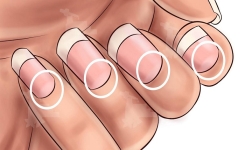 La Lunule des Ongles : Ce Que Sa Présence ou Son Absence Peut Révéler