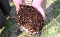 Engrais écologique pour nourrir vos plantes