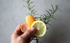  L’Astuce pour Parfumer Toute la Maison avec un Citron et un Brin de Romarin