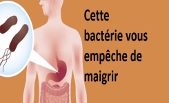 Cette bactérie vous empêche de maigrir… Comment s’en débarrasser et perdre votre surpoids !!