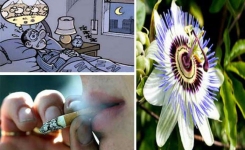 Cette plante vous guérit de l’insomnie et vous débarrasse de votre envie de fumée