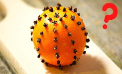Une orange aux clous de girofle : Désodorisant, Insecticide et Accessoire Déco