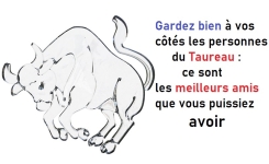 Gardez bien à vos côtés les personnes du Taureau : ce sont les meilleurs amis que vous puissiez avoir