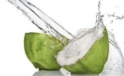Qu'advient-il de votre corps lorsque vous buvez de l'eau de noix de coco ? 