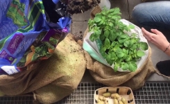 3 façons de fabriquer une tour à patates pour un meilleur rendement