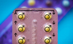Une première pilule contraceptive pour homme testée avec succès