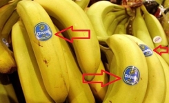 Si vous voyez ce label sur un fruit, ne l’acheter surtout pas !