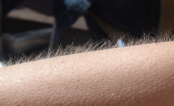 Si vous avez des frissons en écoutant de la musique, vous présentez un trait de caractère unique 