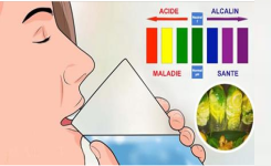 Voici ce que vous devez faire pour alcaliniser votre corps et rester en bonne santé 