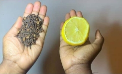 Les Bienfaits du Mélange Citron et Clous de Girofle : Fraîcheur et Simplicité