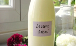 Recette de lessive maison au Thermomix à faire soi même