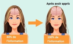 Vous avez des difficultés de mémorisation, cette technique pourrait vous être utile ?