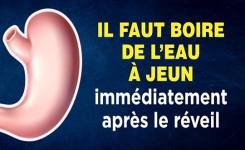 Pourquoi il faut boire de l’eau sur un estomac vide après le réveil