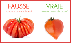 L'arnaque de la fausse cœur de bœuf, tomate star de l'été 