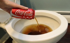 Elle met un demi litre de coca dans les WC: regardez ce qu'il se passe