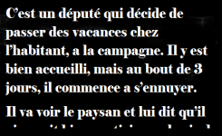  C’est un député qui décide de passer des vacances chez l’habitant…