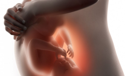 4 astuces pour faire bouger bébé dans le ventre de maman