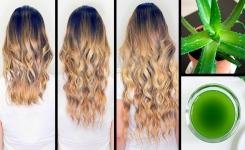Masque cheveux à l'aloe vera : Soin végétal aux vertus 