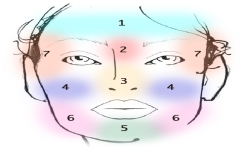 Le face-mapping, pour déterminer les causes de boutons inhabituels