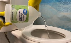 Une astuce simple pour enlever le calcaire du fond des toilettes sans trop d'effort