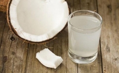 Les Vertus de l'Eau de Coco : Un Élixir Naturel pour Votre Santé et Votre Bien-être