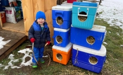 Des Glacières Recyclées en Abris pour Chats Errants : Une Initiative Ingénieuse contre le Froid