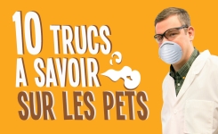 10 faits surprenants sur les pets