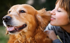 Ceux qui parlent à leurs animaux ont un trait de personnalité unique