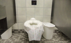 Pourquoi il ne faut pas placer du papier sur les cuvettes des toilettes publiques