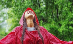 L’odeur de la pluie réduit le stress et autres avantages de marcher sous la pluie