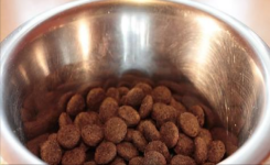 Une marque de croquettes poursuivie en justice pour avoir tué 4 000 chiens avec des aliments «toxiques» !