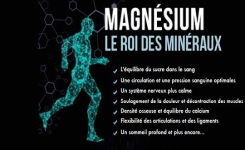 La carence en magnésium vous rend malades et fatigués : 7 signes que vous en manquez